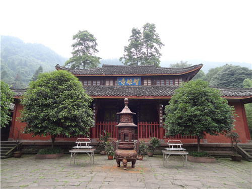 一片绿叶舞春风 品茶问禅蒙顶山