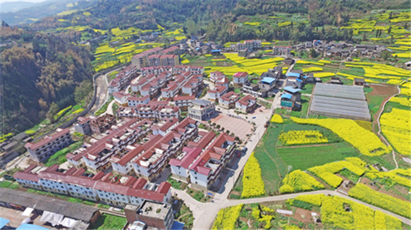 新添乡上坝新村dji_0044副本陶雄辉、郑林摄.jpg