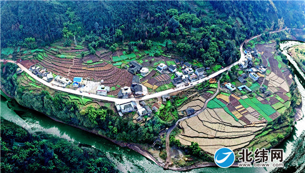 泗坪乡民胜村重楼种植示范园里，道路畅通.jpg