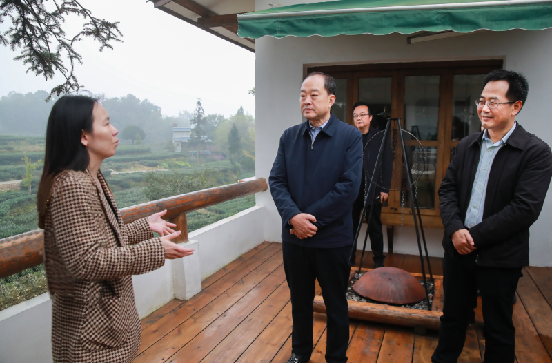 兰开驰在名山区调研乡村振兴工作，了解民宿发展情况。 (3).jpg
