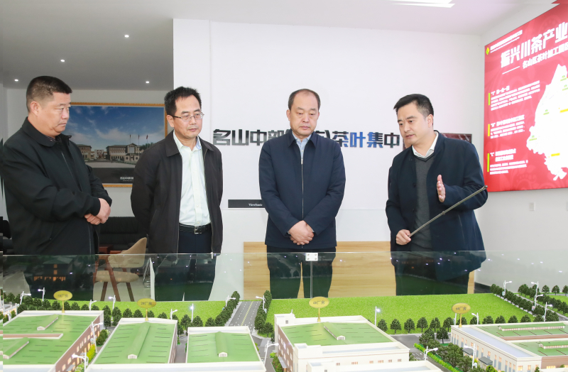 兰开驰在名山区调研乡村振兴工作，了解蒙顶山茶中部（新店镇）加工示范园项目建设情况。 (1).jpg
