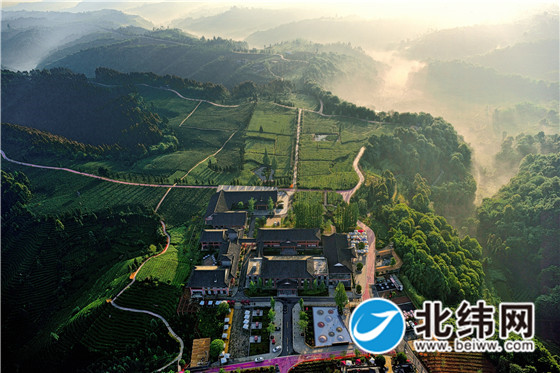 国家级茶树良种繁育场-牛碾坪.jpg