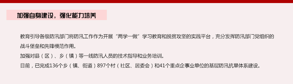 加强自身建设，强化能力培养
