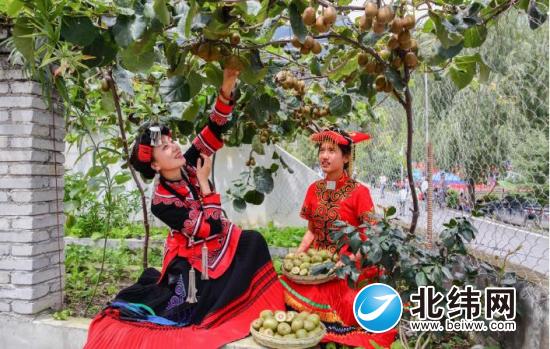 QQ截图20170831082555.jpg