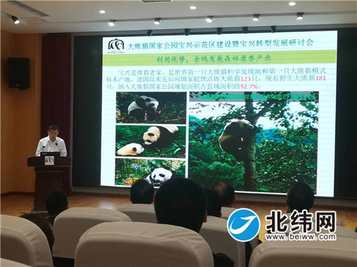 研讨会进行时.jpg