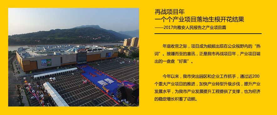 再战项目年 一个个产业项目落地生根开花结果