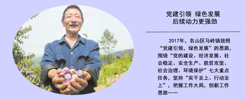 党建引领 绿色发展 后续动力更强劲