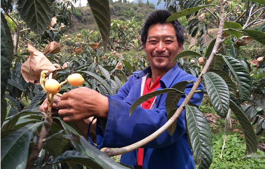 抓住发展振兴新机遇 建设成都平原全面小康先行区