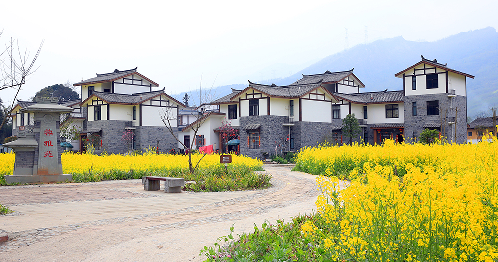成都援建的龙门乡青龙场村河心组新村