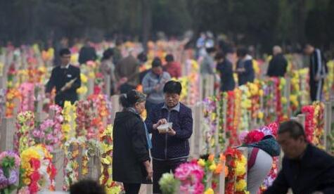 清明祭扫、踏青、旅游 这份假日小贴士请收好！