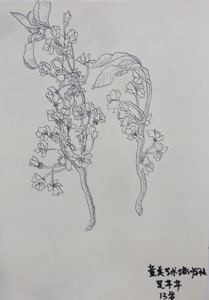 吴芊芊 13岁.JPG