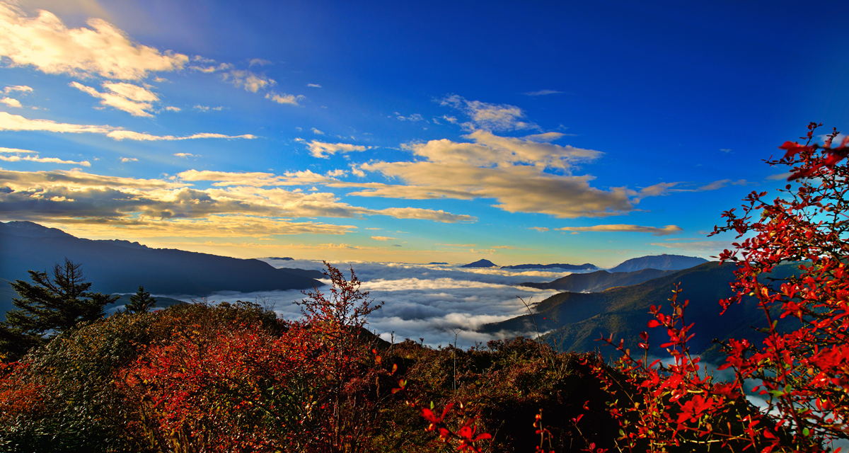 夹金山景区