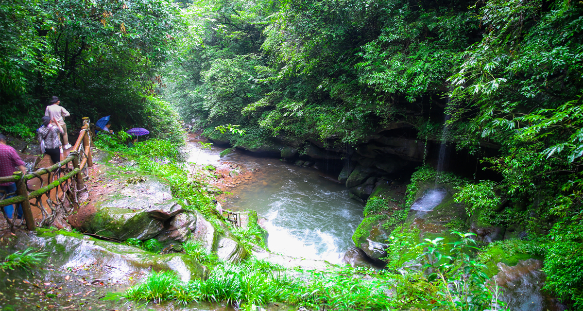 碧峰峡景区
