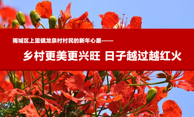 乡村更美更兴旺  日子越过越红火