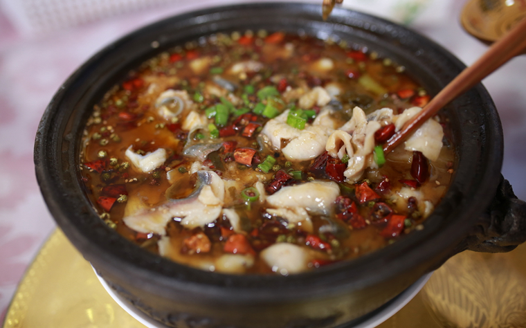 寻觅特色美食  探秘餐饮文化