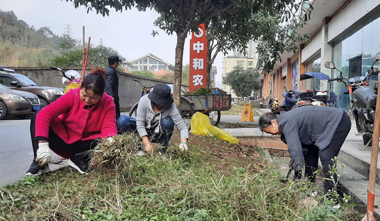 居民积极行动清除绿化带杂草