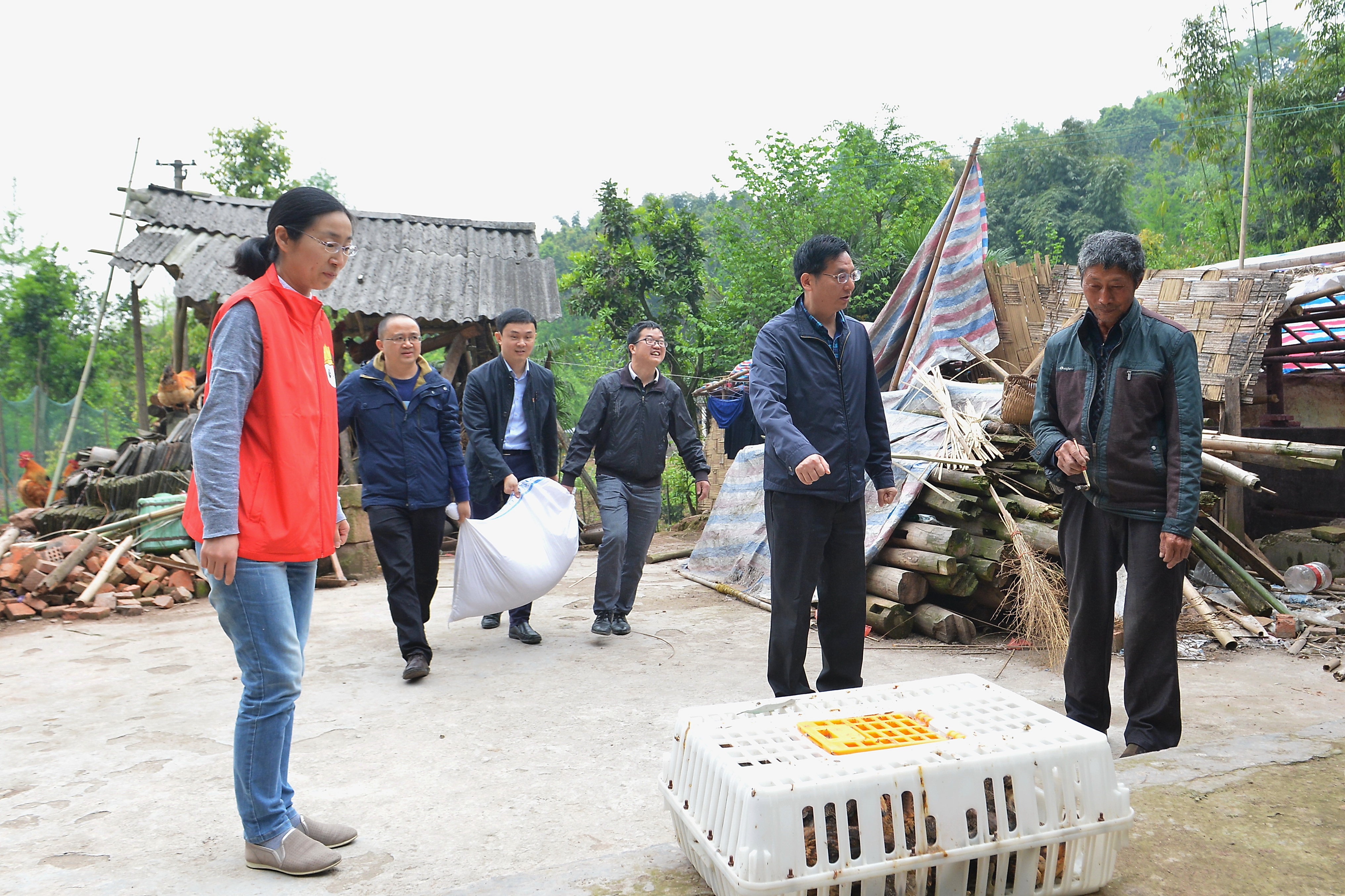 雅电集团党委书记、副董事长程虎带领公司员工为秦场村贫困户送去鸡苗和饲料，汤小强摄.jpg