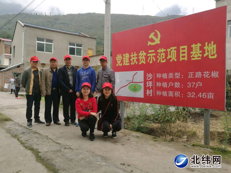 雅安电信联合贫困村打造党建扶贫项目基地.jpg