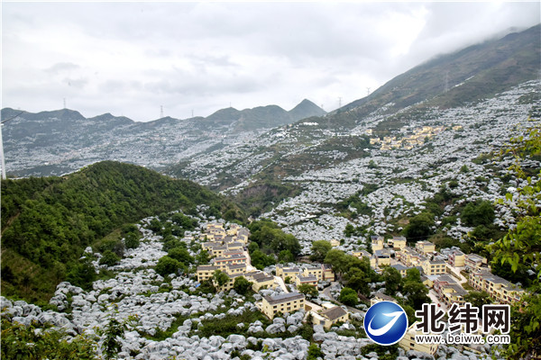 汉源县清溪镇同心村满山果园盛景.jpg