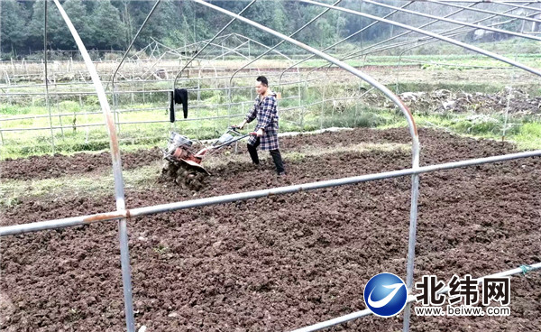 雨城区草坝镇香花村王才斌正在田间劳作.jpg