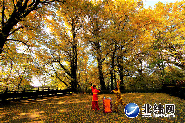 蒙顶山金秋--孟水明 (1).JPG