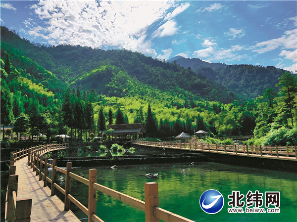 荥经引白井沟雅鱼养殖基地（农旅融合） (3)_1.jpg