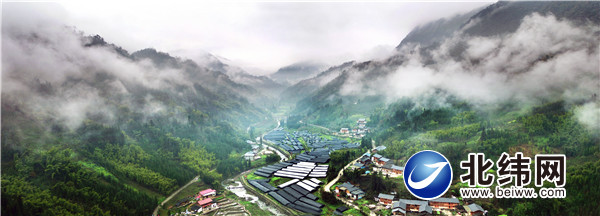 羊肚菌产业蓬勃发展的大溪乡曹家村.jpg