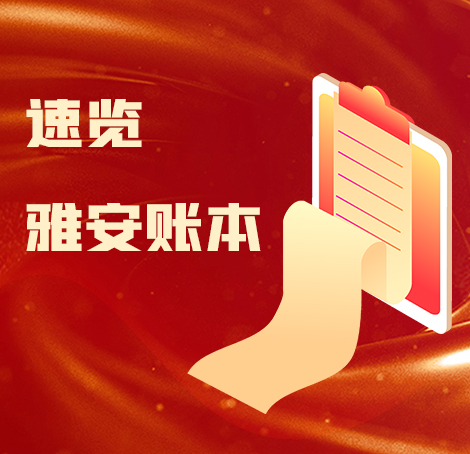 速览雅安账本