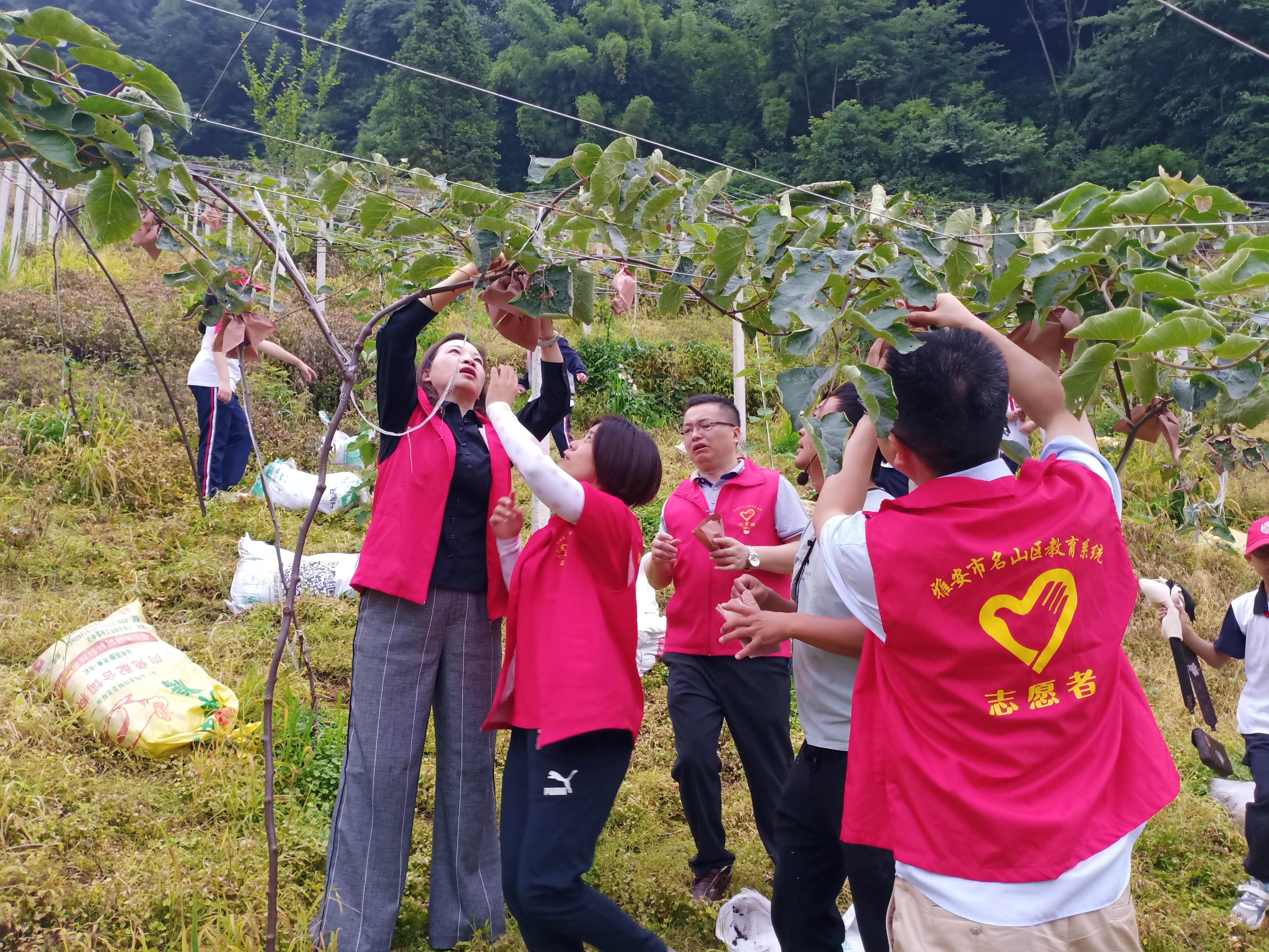 2022年6月10日雅安市名山区蒙顶山实验小学党员同志到蒙顶山镇青少年绿色教育基地学习红心果包果.jpg
