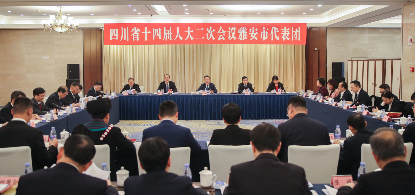 审议政府工作报告