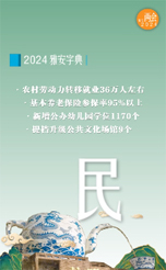 《2024雅安字典》